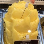 サンクゼールファクトリーアウトレット - 