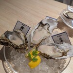 MICHI FISH&OYSTER - 