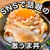 とりのどん