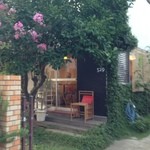 529 - 夏、サルスベリが良く咲いています。