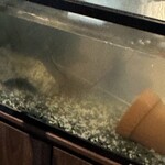 ビストロ セレニテ - 