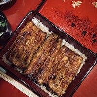 うなぎ割烹 大江戸 - うな重(やよい)