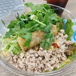 ベトナム フロッグ - 