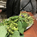 スガラボヴィー - 