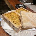 スガラボヴィー - 