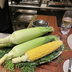 スガラボヴィー - 