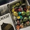CACAOCAT 白金台店