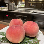 スガラボヴィー - 