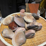 スガラボヴィー - 