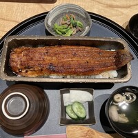うなぎ四代目菊川 ミッドランドスクエア 名古屋本店 - 