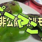 楽酔苑 - YouTube用のサムネイル