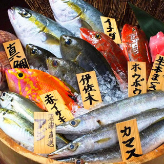 さかなや道場_1