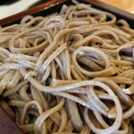 Teuchi Soba Miyajima - 二色そばセットの田舎