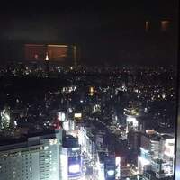 タワーズバー ベロビスト - 