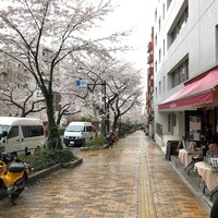 タンタ ローバ - 
