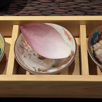 五本木 響 - 