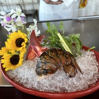 表参道うかい亭 - 