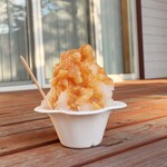 さじこよみ - 豊橋のもも