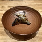 旬菜旬魚 たじま - 