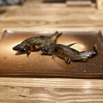 旬菜旬魚 たじま - 