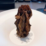 プレゼンテ スギ - 