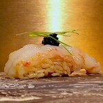 Shibu2 Zushi - 