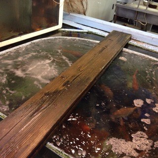 大きな生け簀には新鮮な旬の魚や貝類・甲殻類がたくさん！