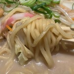 中心屋  母家 - 和歌山ちゃんぽん（並）のちゃんぽん麺