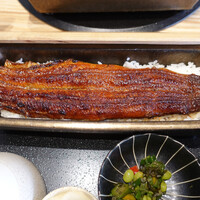 うなぎ四代目 菊川 恵比寿ガーデンプレイス店 - ドーーンと一本の迫力