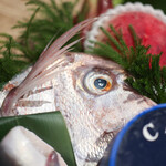 Itsuki - ２０２３年７月再訪：真鯛☆