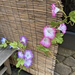 神楽坂 おいしんぼ - 