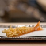 司 - 2023.7 巻海老