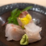 司 - 2023.7 お造り3種盛り（メイチダイ、シマアジ、アズキハタ、本わさび、海藻クリスタル、大根の葉、菊花）