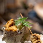 司 - 2023.7 栄螺（さざえ）