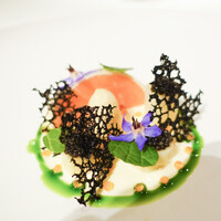 ジョンティ アッシュ - 