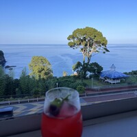 CODA ROSSA -  CODA ROSSA -