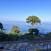 CODA ROSSA -  CODA ROSSA -