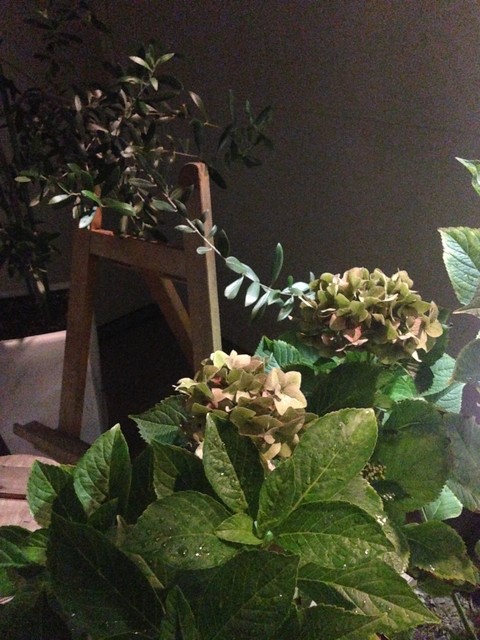 チーズケーキ CAFE MAGY（マージー） - 富谷町その他（カフェ）の写真