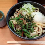 うどん 錦 - 山菜おろし(800円)　大盛(300円)