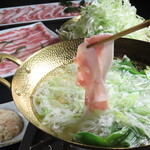 Nagoya Meibutsu Kochin Chita Buta Hideyoshi - 