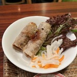 ベトナムちゃん - 