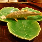 旬彩天 つちや - 子持ち鮎には日本酒が欲しくなりました