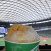 エスニックダイニング ムエタイ - 料理写真: