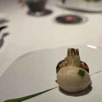 レフェルヴェソンス - 