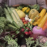 レフェルヴェソンス - 