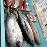 パヤオ直売店 - そのまま売ってます(ｰｰ