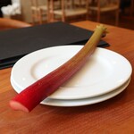 cento - ルバーブ これ！見せていただき➡ジャムなどに