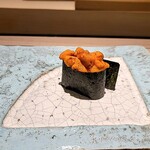 島津 - バフンウニ