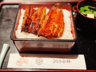 Shimosuwa Unagi Kobayashi - 