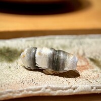 匠 進吾 - 嬉しいです。シンコに出会えました！
                      「ぼくはシンゴです」と、涼しい洒落とともに（笑）
                      酸味も程よく、もう充分に美味しい♪